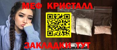 прущие грибы Дубна