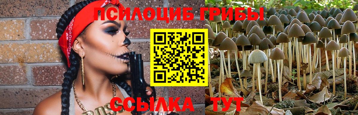 Клинцы  купить   Вход с VPN  Галлюциногенные грибы Cubensis 